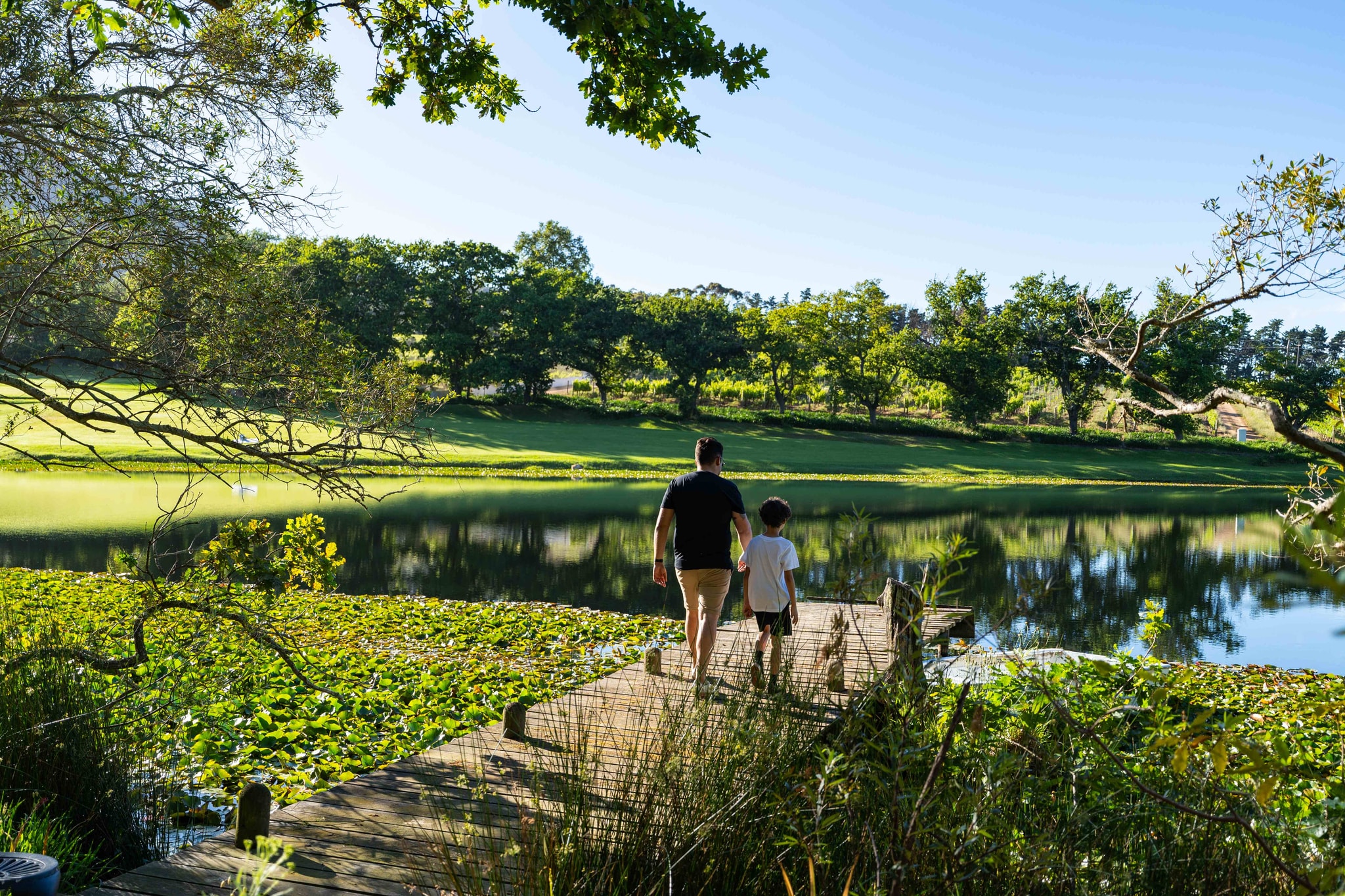 Father and son walking along wooden jetty by the lake with green lawns and trees