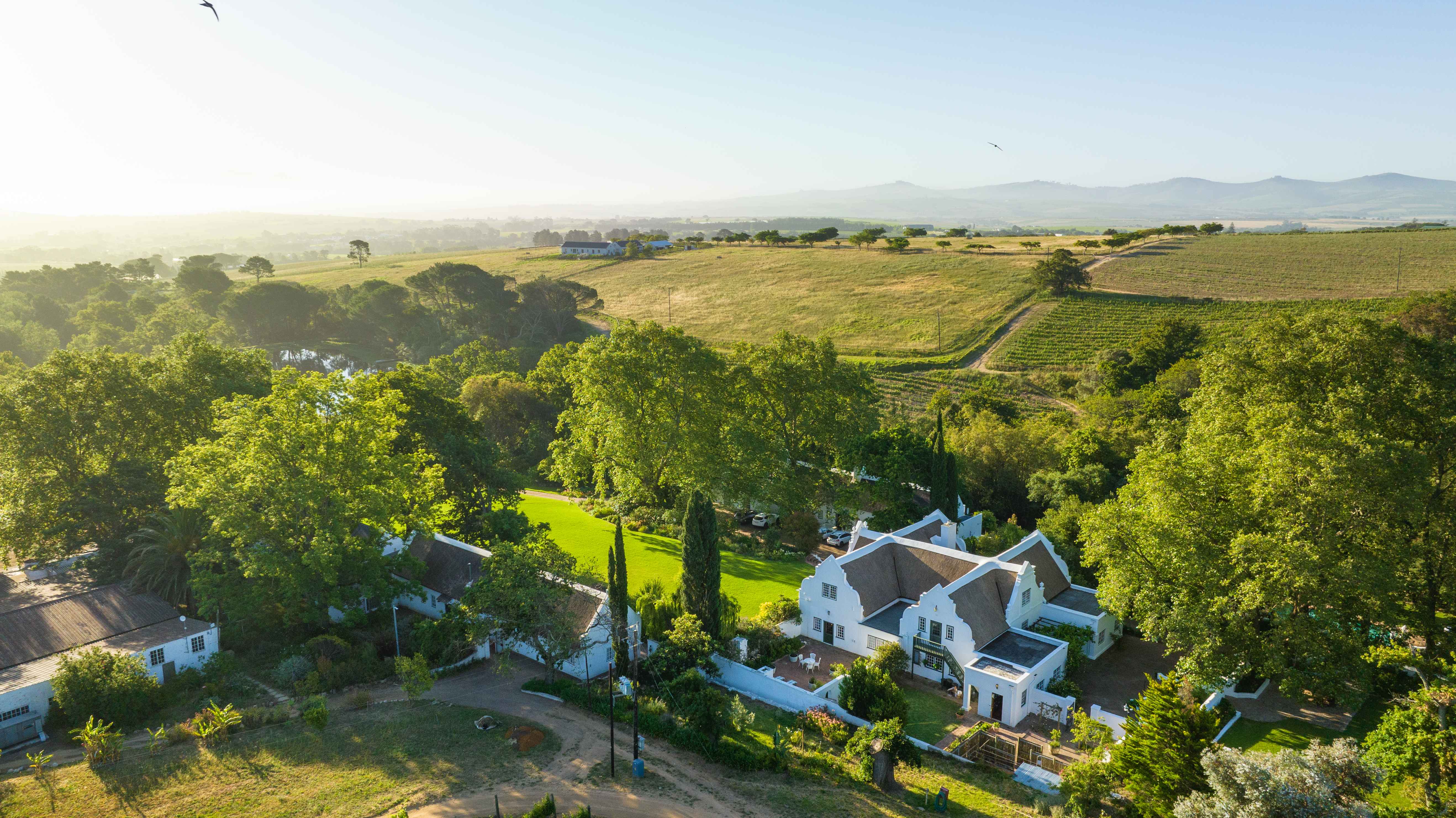 Aerial view of Navarre estate with Cape Dutch manor, lawns, and vineyards at golden hour