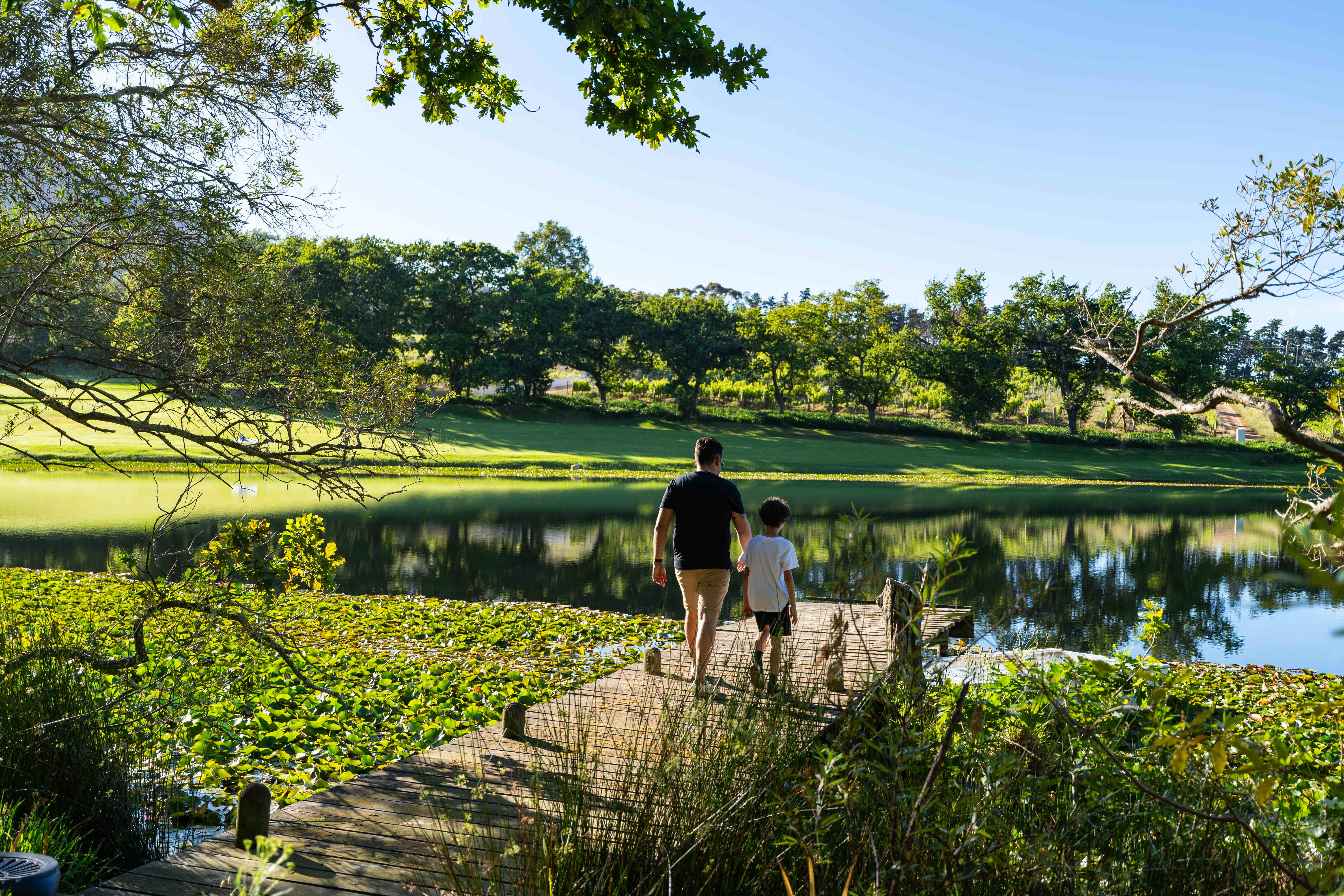 Father and son walking along wooden jetty by the lake with green lawns and trees